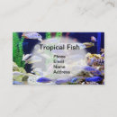 Search for aquarium business cards Aquatic