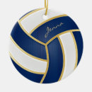 Search for beach volleyball ornaments Sports