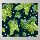 Search for wine art Illustration
