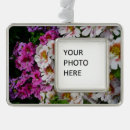 Search for pink butterfly ornaments White