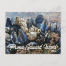 Search for prince edward island postcards Canadian