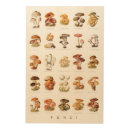 Search for mushroom art Fungi