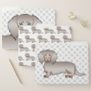 Search for dachshund folders Cute