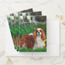 Search for dog folders Animal lover