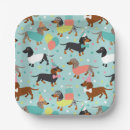 Search for dachshund paper plates Birthday