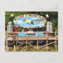 Search for road signs postcards Welcome