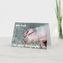 Search for funny farm birthday cards Pig