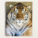 Search for spiral planners Daily