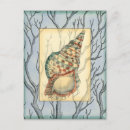 Search for transparent postcards Beach