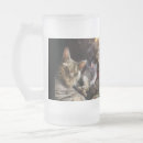 Search for cat beer glasses Animals