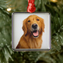 Search for golden retriever ornaments Pet