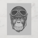 Search for chimpanzee postcards Cute