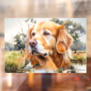 Search for dog window decals Golden retriever