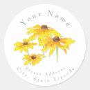 Search for black eyed susan Flowers
