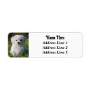 Search for poodle return address labels Puppy