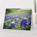 Search for texas thank you cards State of texas