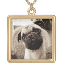 Search for black pug jewelry Pets