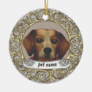 Search for beagle memorial Pets