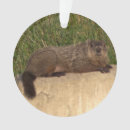 Search for groundhog ornaments Wildlife