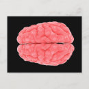 Search for neuroscience gifts Neurology