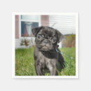 Search for pug napkins Dog