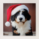 Search for bernedoodle gifts Puppy