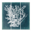 Search for coral reef art Coastal