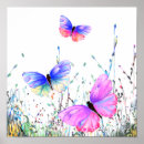 Search for butterfly posters colorful