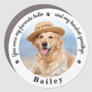 Search for in loving memory memorial bumper stickers Dog