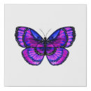 Search for butterfly canvas prints Blue