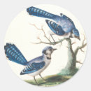 Search for blue jay stickers Nature