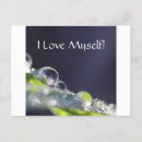 Search for affirmation cards Spiritual