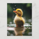 Search for make way for ducklings Rain