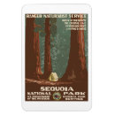 Search for sequoia national park magnets Travel