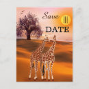 Search for safari save the dates Zoo