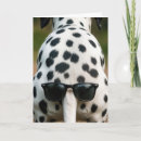 Search for dalmatian birthday cards Funny