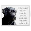 Search for losing a pet Sympathy