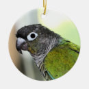 Search for parakeet ornaments Pretty