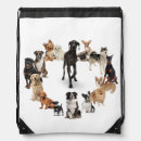 Search for dog sitter bags animals