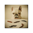 Search for french bulldog nursery decor Pet
