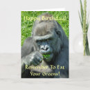 Search for gorilla cards Photography