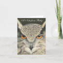 Search for owl note cards Wildlife