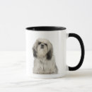 Search for tibetan terrier gifts cute