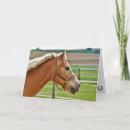 Search for girls horses birthday cards Cute