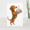 Search for dachshund cards Dog
