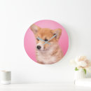 Search for corgi clocks Pet