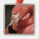 Search for flamingo ornaments Caribbean