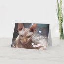 Search for sphynx cat cards Cute