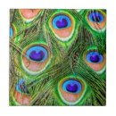 Search for peacock tiles Bird