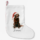 Search for chocolate lab christmas stockings Dog